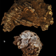 Images showing the main block and the partial skeleton.